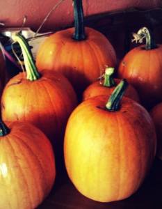 pumpkins 2