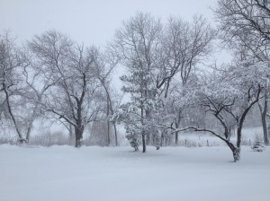 20150201_170538882_iOS